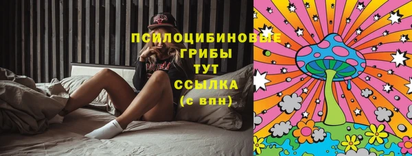 бутират Белокуриха