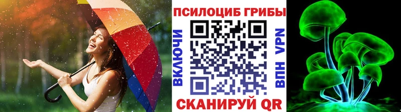 мега зеркало  Конаково  Галлюциногенные грибы Psilocybe  наркота 