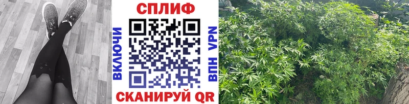 Шишки марихуана тримм  даркнет сайт  Конаково 